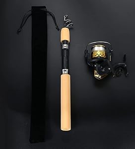 釣竿 リール付き Amazon.co.jp: キャスティングタコに タコエギロッド