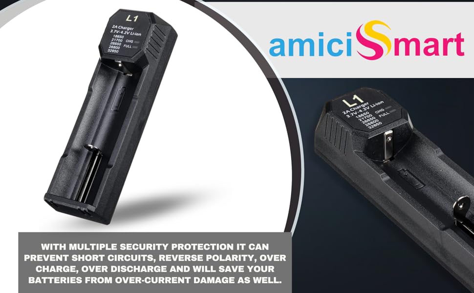 amiciSmart Intelligent Battery Charger, 2A 5V Smart Fast Charger for