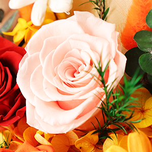 SENJWARM Preserved Flowers, Never Withering, Pink Bouquet