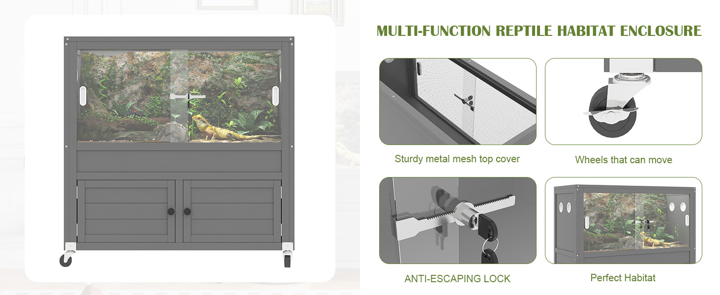 Reptile Terrarium's details
