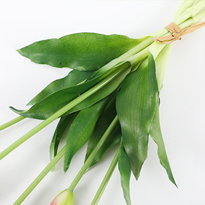 realistic stems