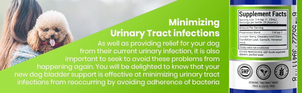 Kidney and Bladder Support - Minimizing urinary tract infections