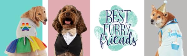 Best Furry Friends