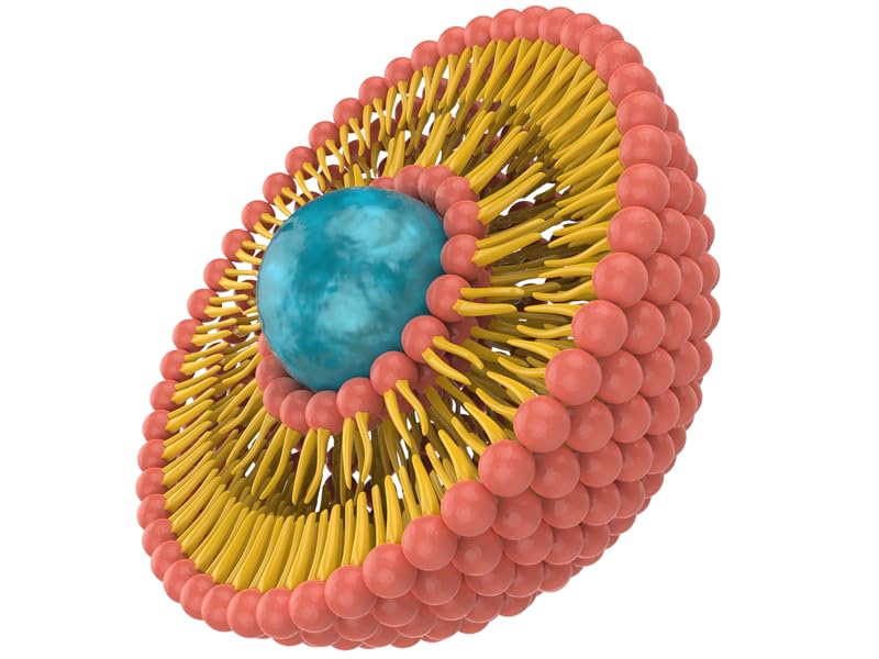 highest absorption bioavailability men 50+ men's 50 plus vitamins organics for men 50 b5 folate mg