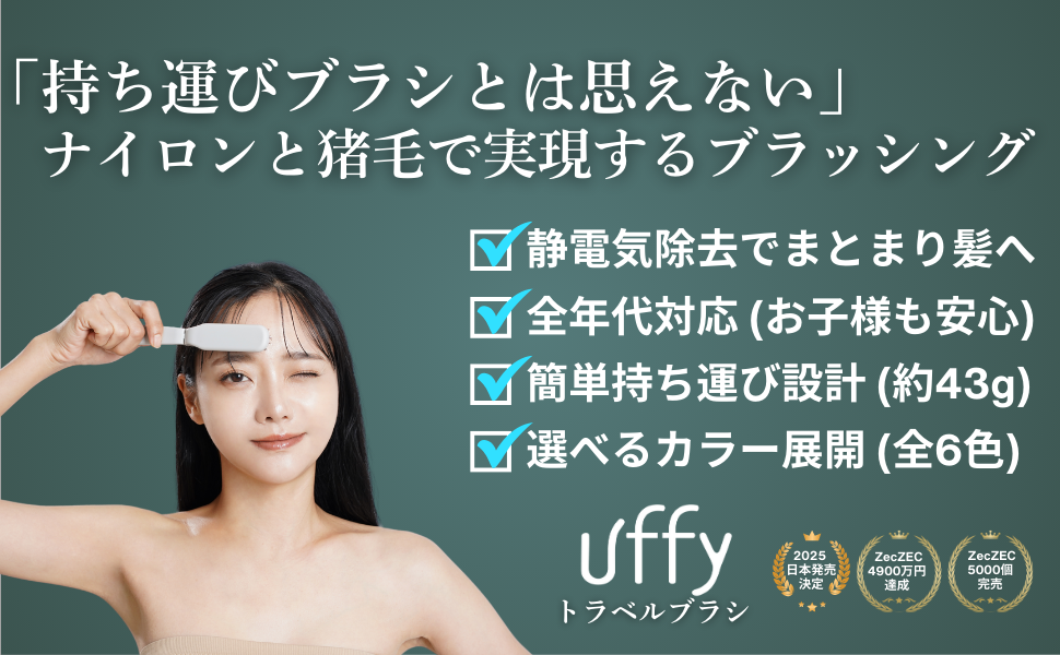 持ち運びブラシ