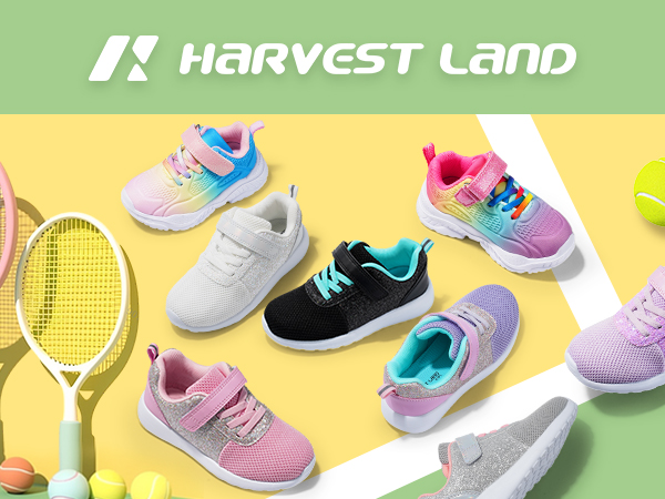 「Light Mellow Summer」 Amazon.com: Monroe Quick-Strut 172981 Suspension Strut and