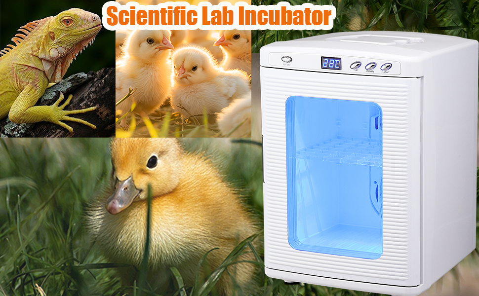 25L Incubator