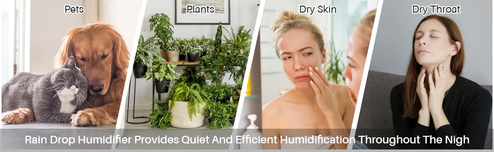 rain cloud humidifier