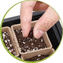 seed starter tray