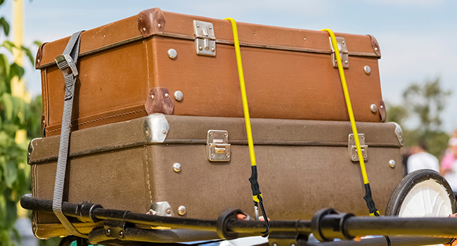 WORKPRO 8-Piece Bungee Cords with Aluminum Carabiner