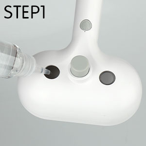 steam brush for cats