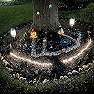 fairy garden