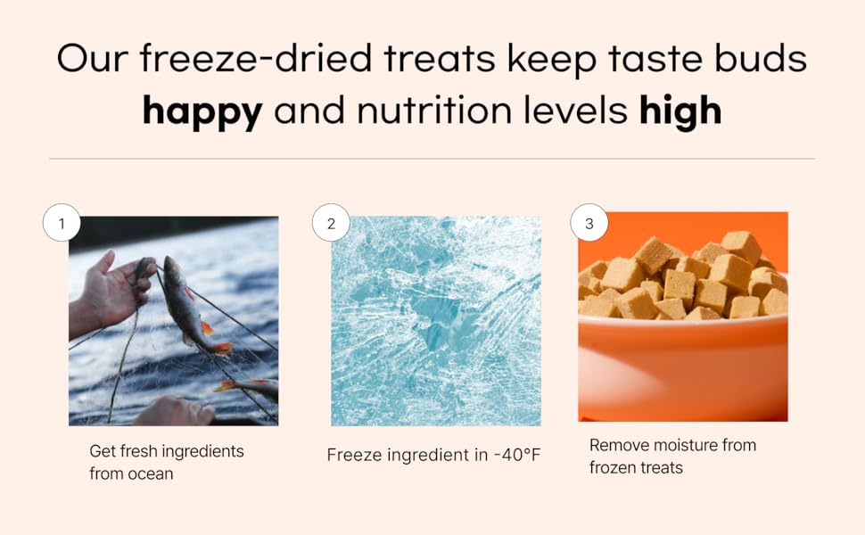 Salmon Treats