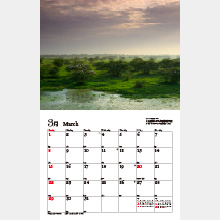 ナショナル ジオグラフィック カレンダー2026 世界にひとつの風景 3月