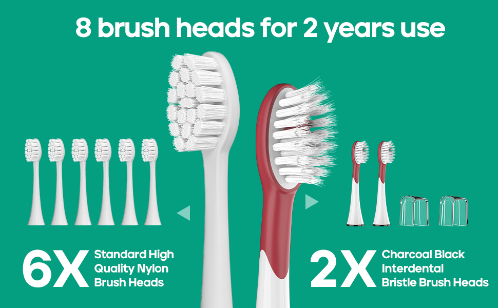 8 Brush heads for 2 years use