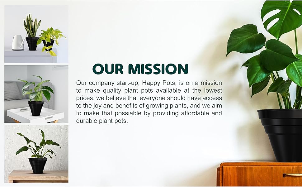 plant pot