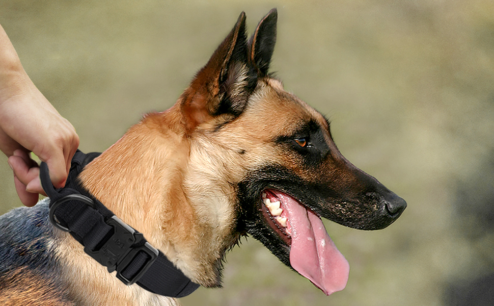 Joytale Tactical Dog Collar with Handle, Heavy Duty