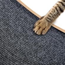 cat wheels for indoor cats