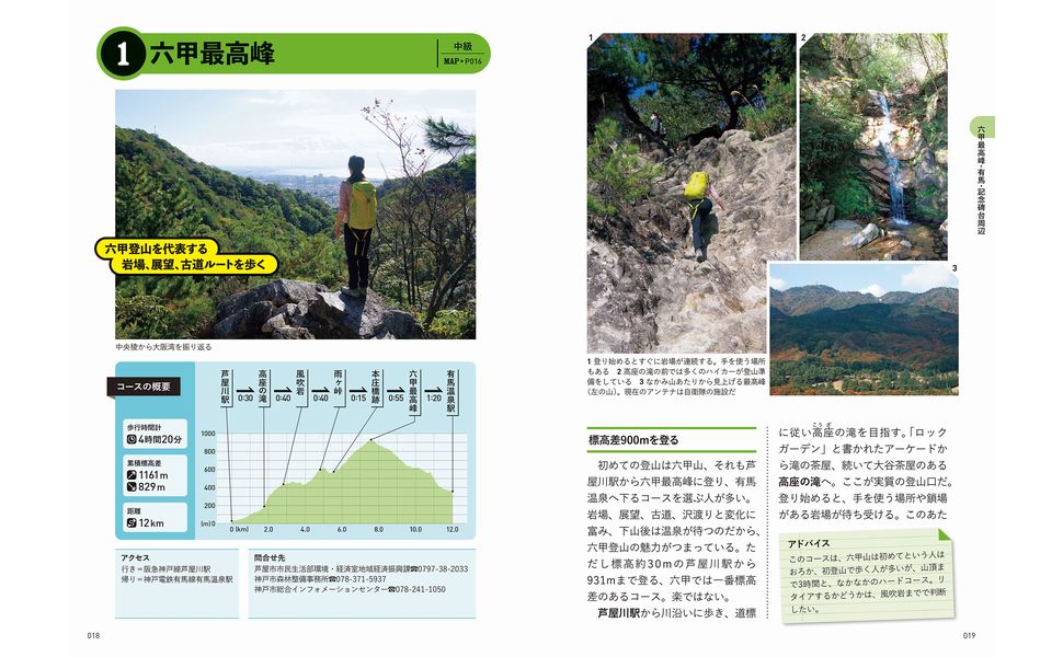 石川県版　山菜・木の実ガイドブック 石川県版 山菜・木の実ガイドブック 石川県版山菜・木の実ガイド