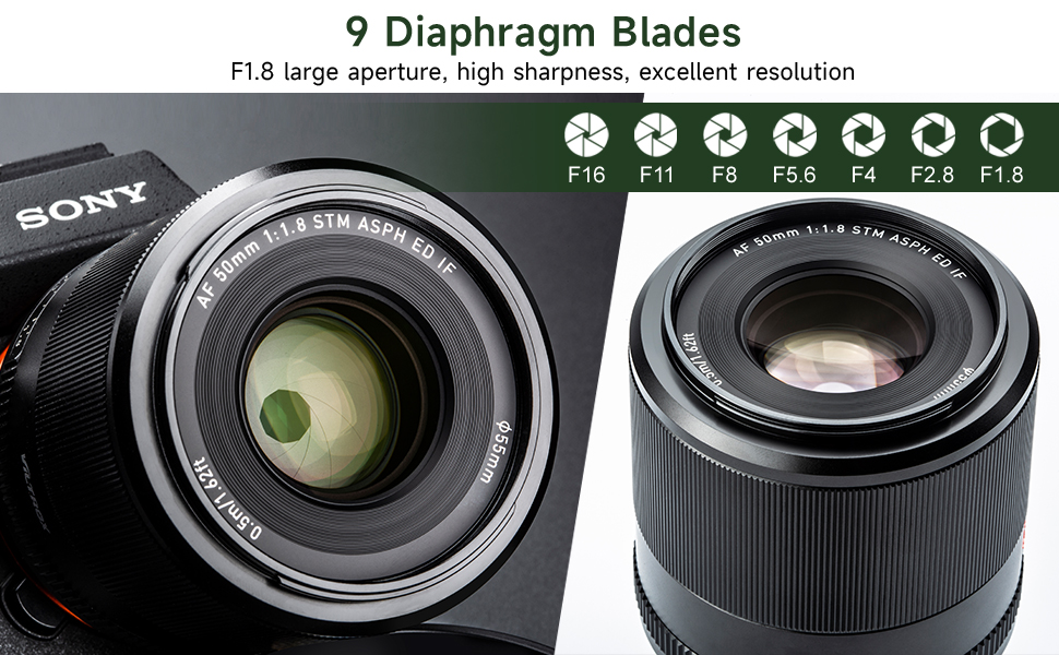 Tam Çerçeve Lens Otomatik Odaklama lensi