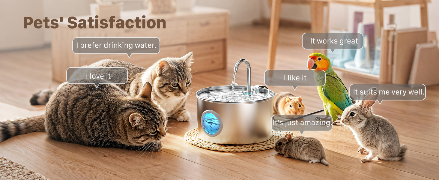pet bowl cat drinking fountain uk cat water dispenser water dispenser for cats