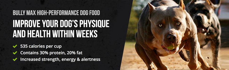 Improve your dog's physique and health within weeks