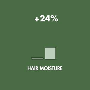 HAIR MOISTURE