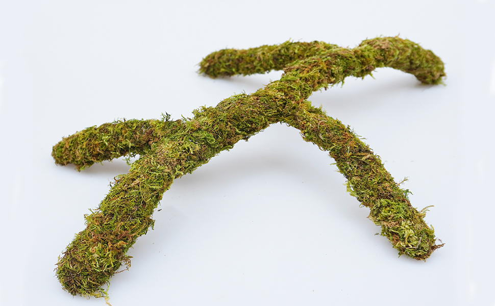 Leopard Gecko Tank Accessories