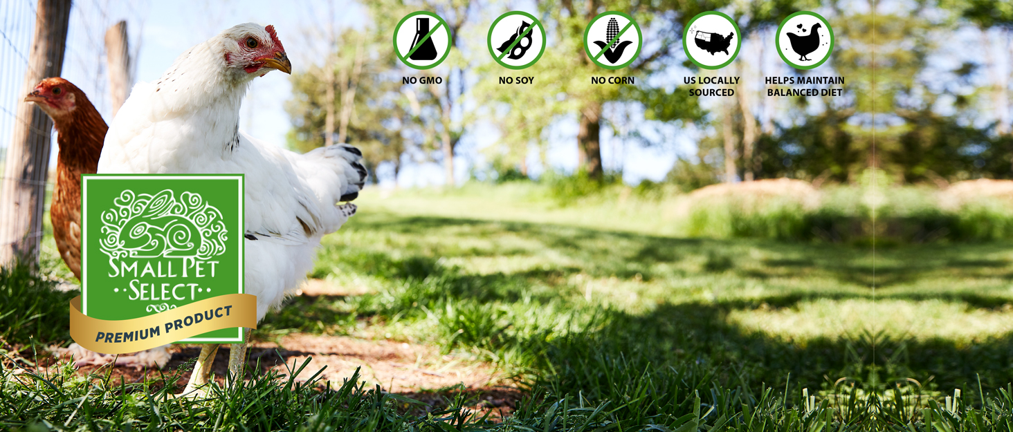 Small Pet Select Chicken Layer Feed, NonGMO, Corn Free