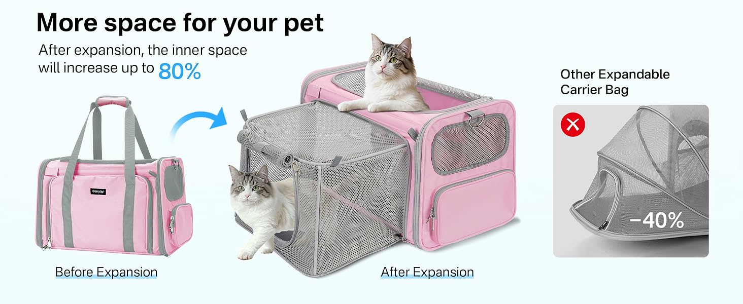 cat carrier