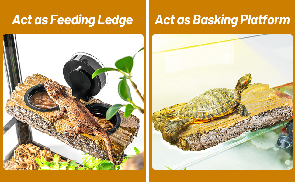 Turtle Basking Platform