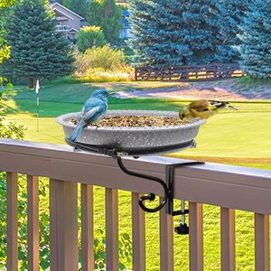 bagno di uccelli riscaldato