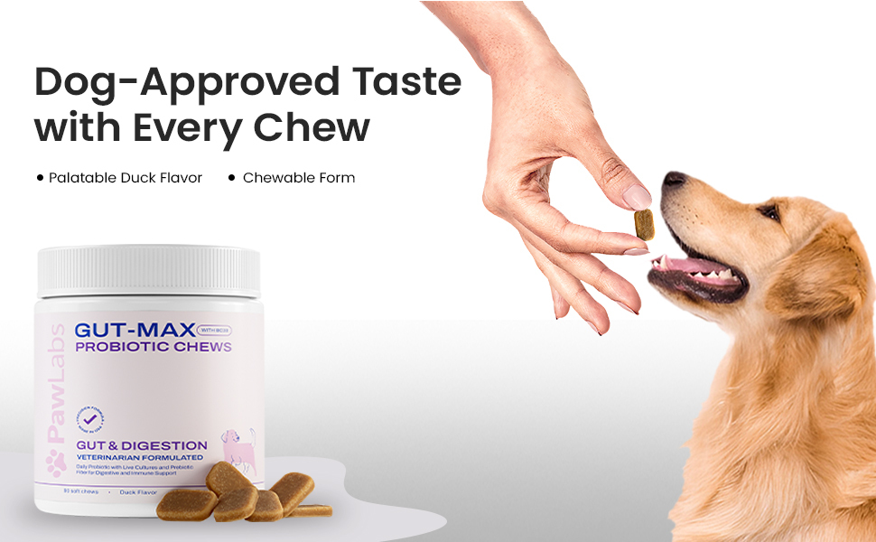 Dog Probiotic Chews
