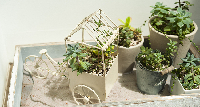 Large manufacture image 2