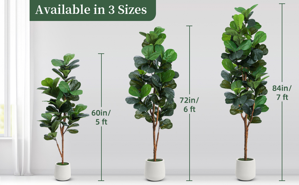 Comparison of three sizes of artificial fiddle leaf Fig tree