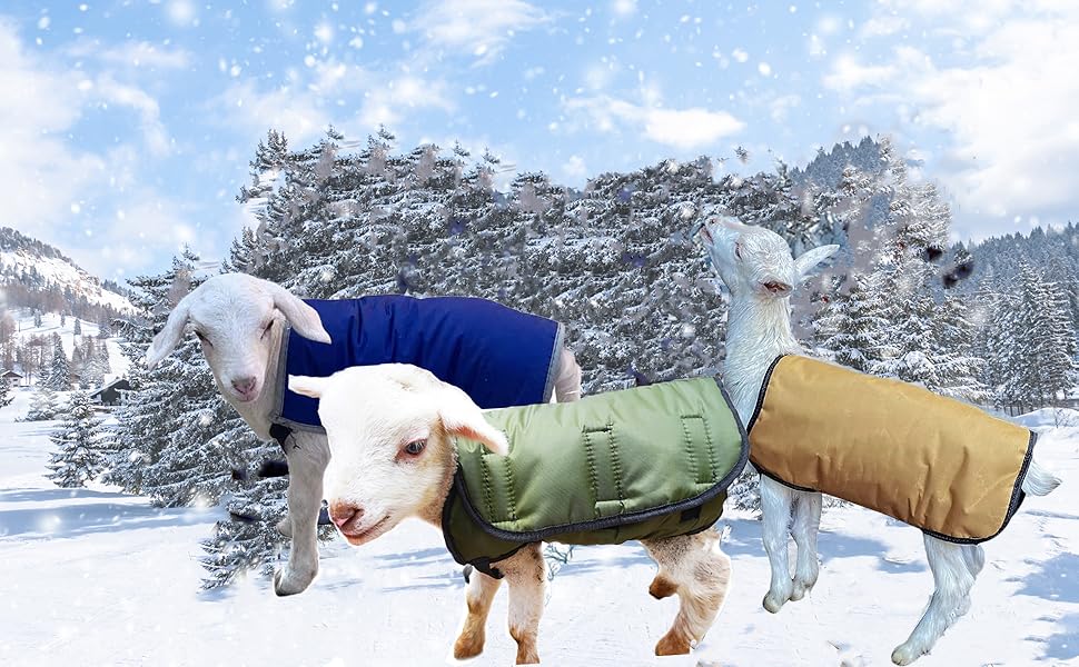 2 Pcs Goat Coat for Winter Goat Blanket Cold Weather