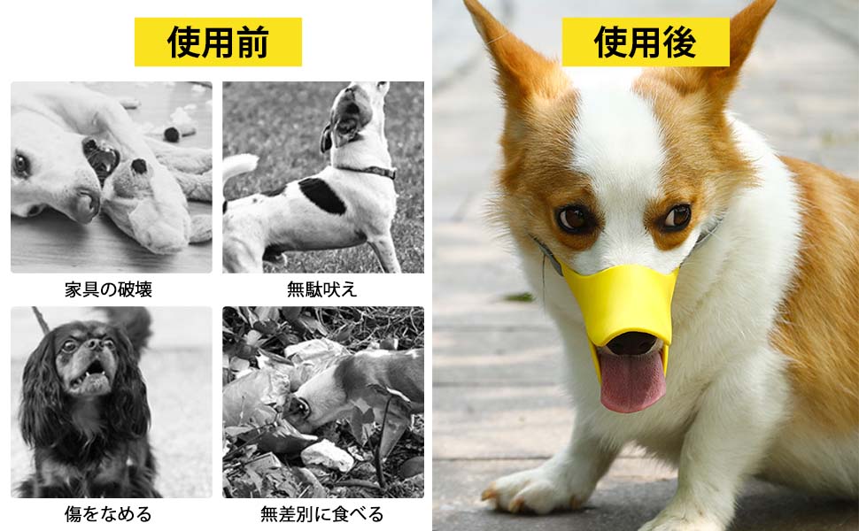 犬の口