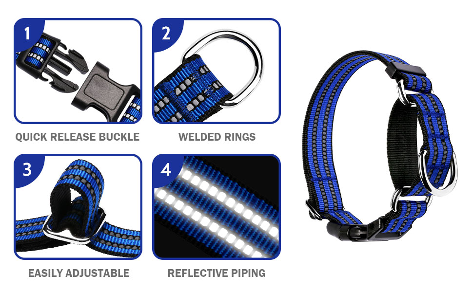 Martingale Dog Collars Reflective Dog Collar with Quick