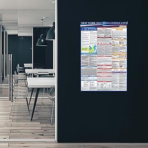 Amazon.com: 2022 New York State and Federal Labor Laws Poster - OSHA Amazon.com: 2022 New York State and Federal Labor Laws Poster - OSHA