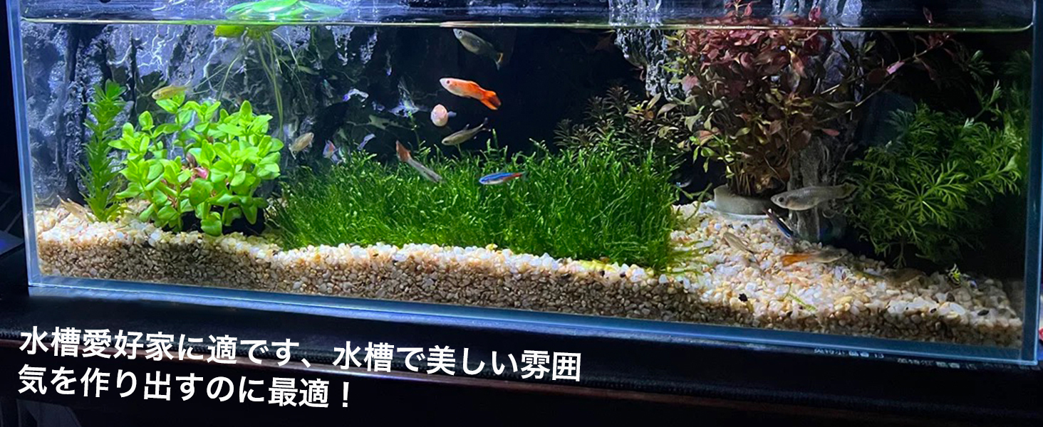 小さな水槽のクリップライト