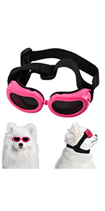 dog goggles