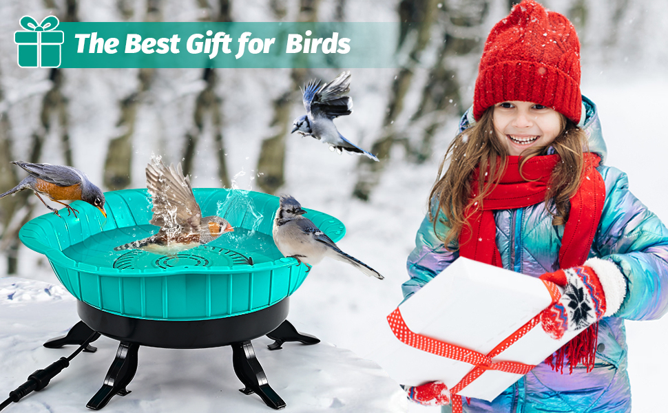 Bain d'oiseaux chauffés