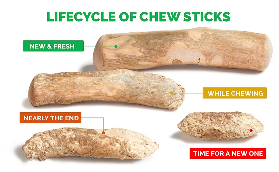 Pet Supplies LuckyTail Wooden Stick Coffee Tree Dog Chew Toy for