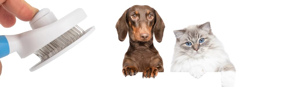 Cat and Dog Brush - Ergonomic and Lightweight Self-Cleaning Accessory for Cats and Dogs, Dog Brush, Cat Brush, Suitable for Long Hair and Short Animal Hair, Ideal for the 11 una mano cepillándole los dientes a un gato con un cepillo de dientes