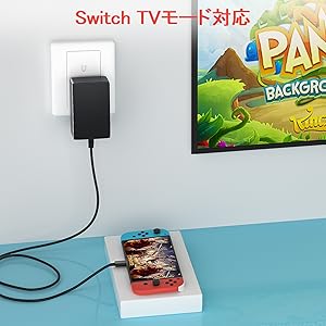 Nintendo Switch 付属品 5点(充電器等) Amazon.co.jp: For Switch ACアダプター スイッチ 充電器 【TV