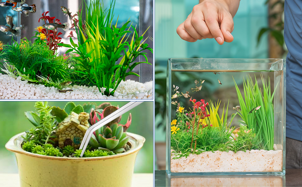 Zwei Aquarienaufbauten: ein traditionelles Aquarium mit Pflanzen und ein kleines Glaswürfel-Terrarium. Beide enthalten Wasserpflanzen und dekorative Elemente.