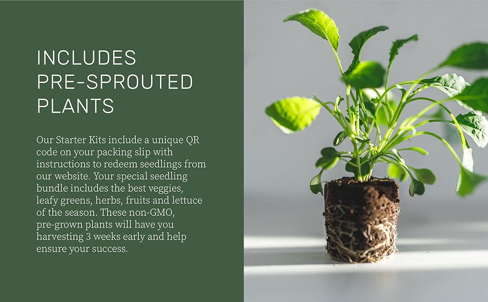 Lettuce Grow Farmstand Starter Kit with Glow Rings and