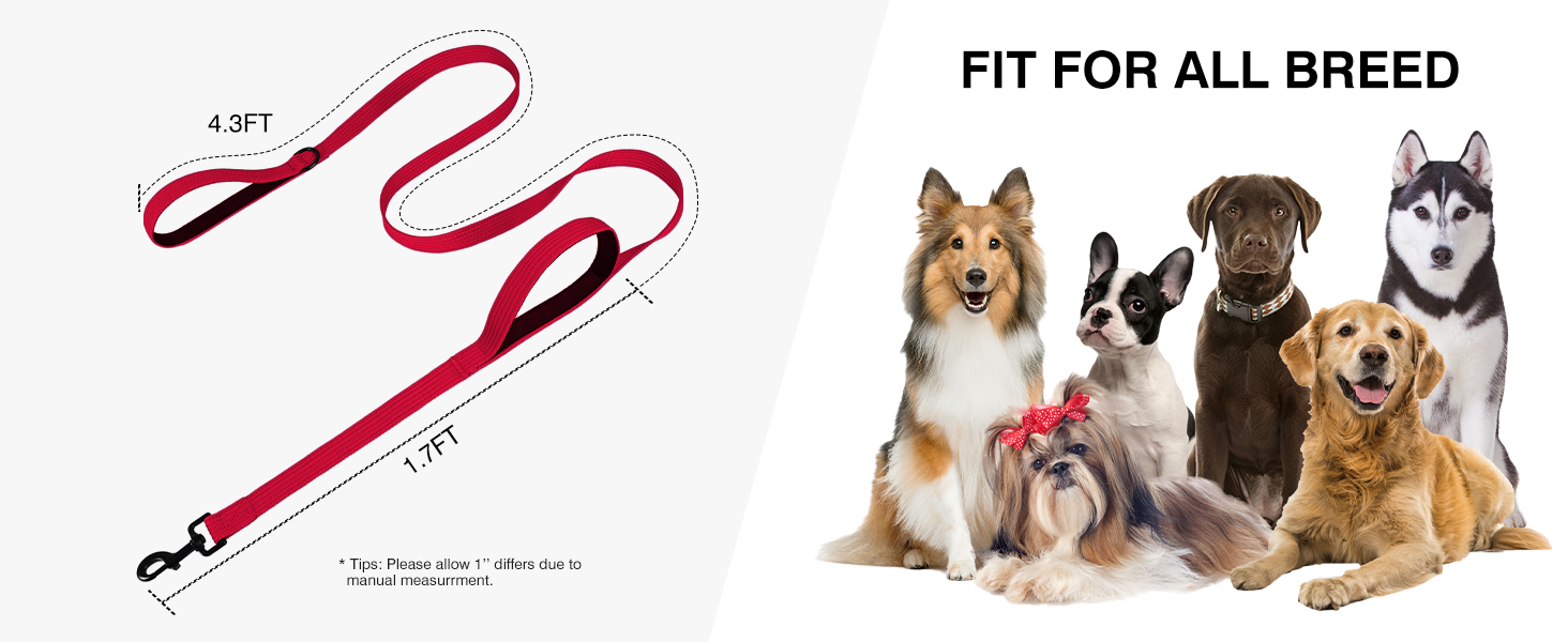 6FT Dog Leash for Large Medium Small Dogs