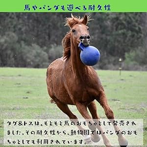 Small manufacture image 11