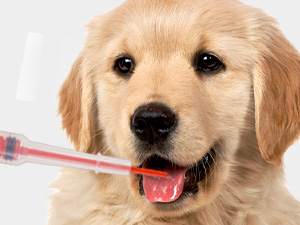 Small manufacture image 11